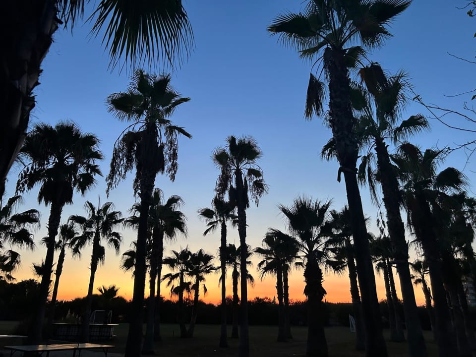 Außenansicht Seaden Sea World Resort & Spa