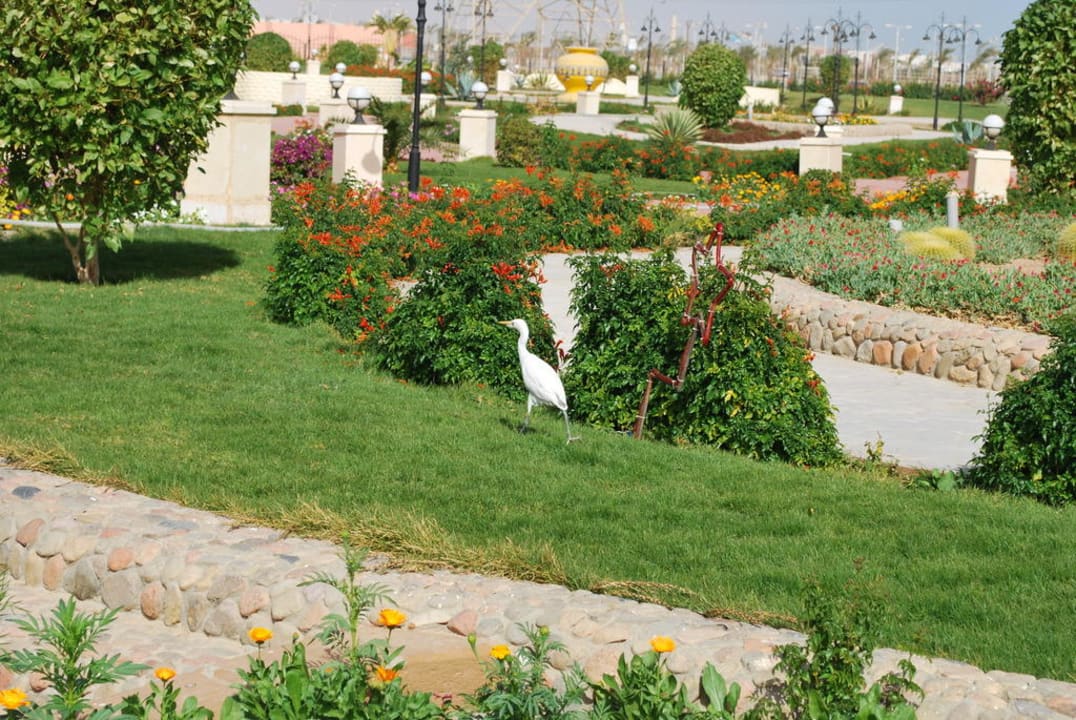 Hotel Pickalbatros Alf Leila Wa Leila Resort - Neverland Hurghada