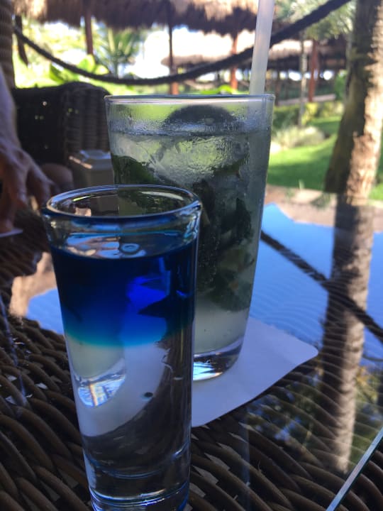 Gastro Akumal Bay Beach & Wellness Resort