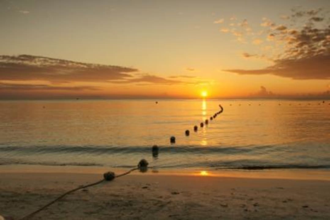 Einfach perfekt! Sunset at the Palms Resort - Adults Only