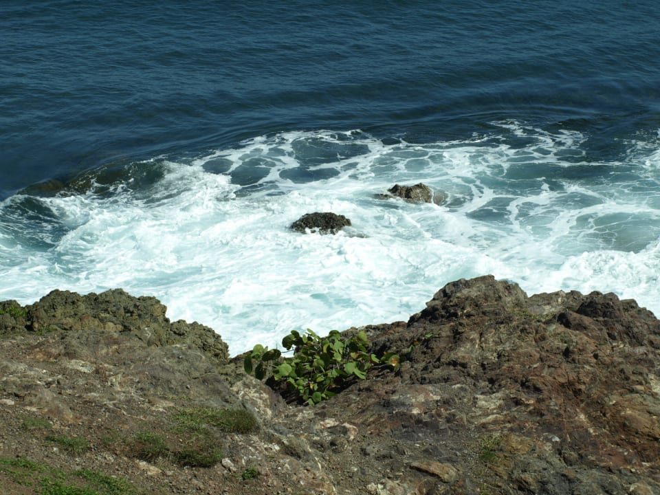 RiuBachata Senator Puerto Plata Hotel