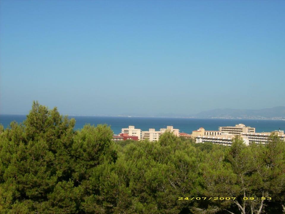 Super Ausblick Grupotel Orient