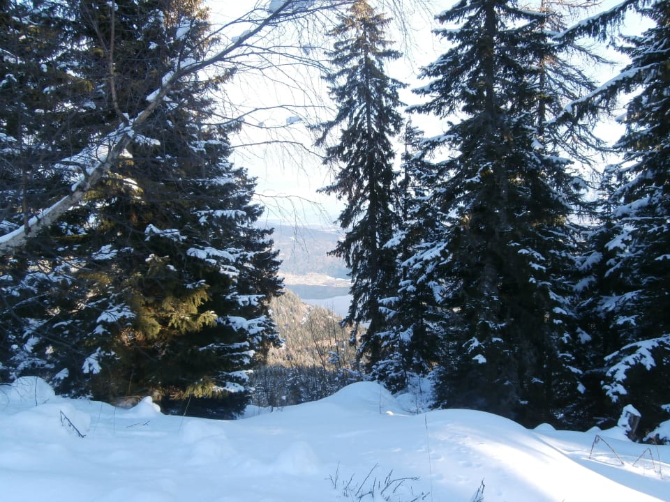 Wandelpad bij hotel Sonnenhotel Zaubek