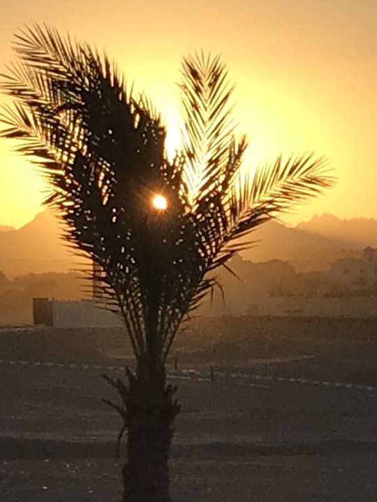 Ausblick Cleopatra Luxury Resort Makadi Bay