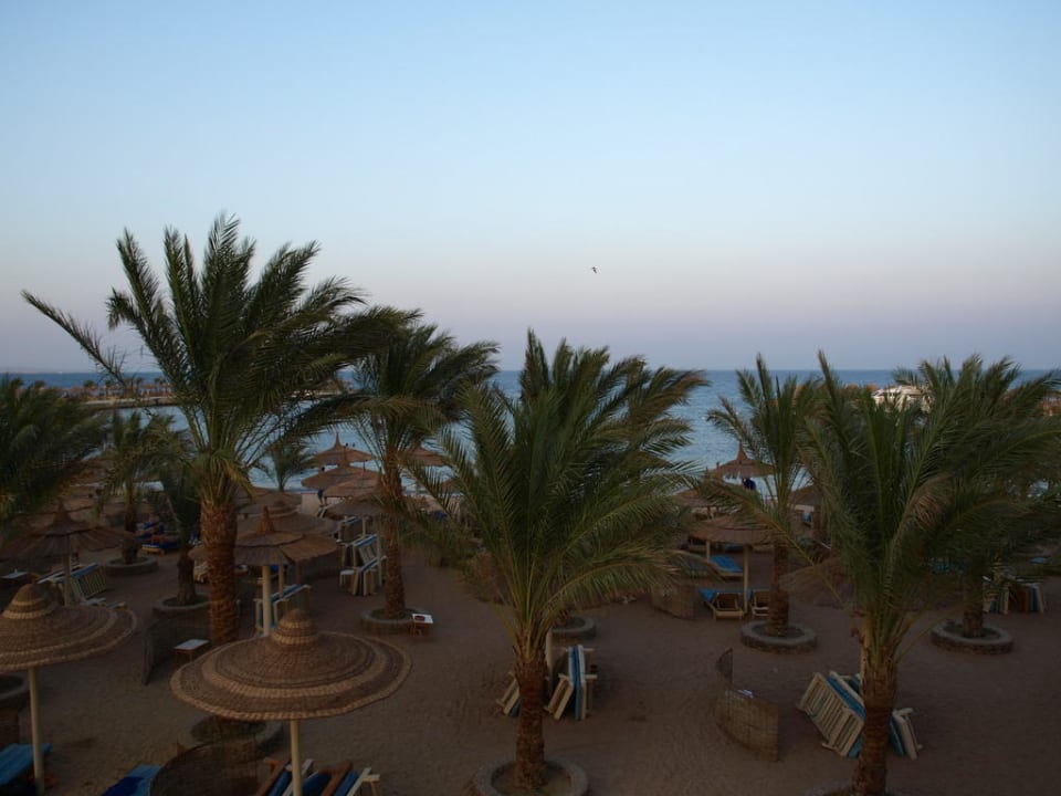 Widok z tarasu na plażę Beach Albatros Resort