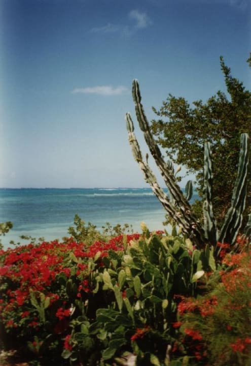 Umgebung Brisas Guardalavaca Hotel & Villas