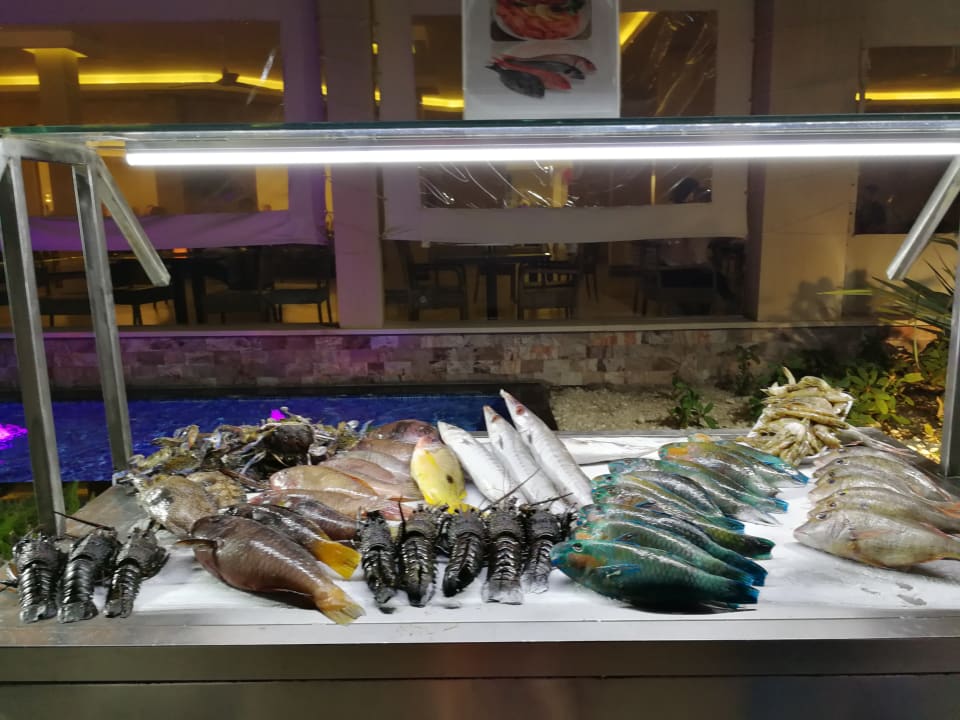 Gastro Pickalbatros Aqua Vista Resort - Hurghada