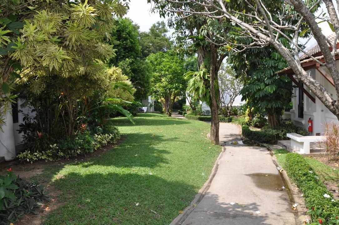 Gartenanlage des Hotels Hotel Samui Palm Beach Resort