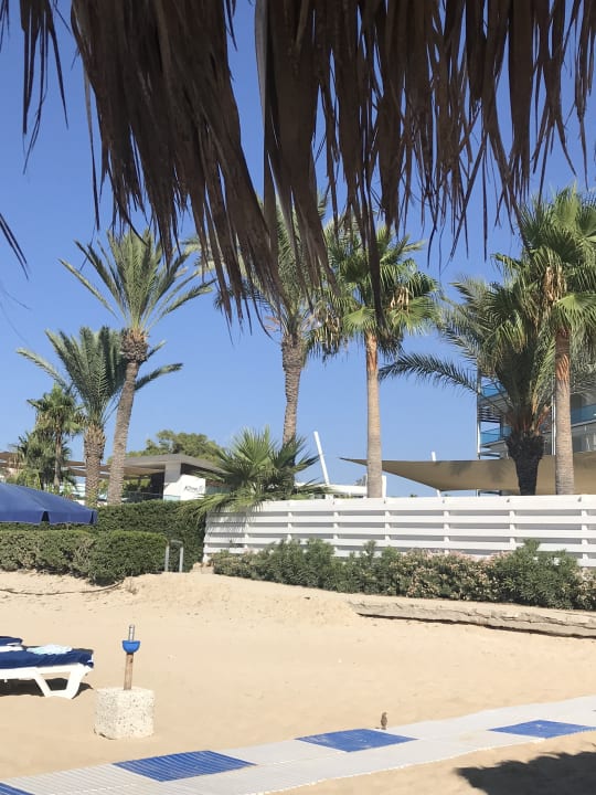 Gartenanlage Asterias Beach