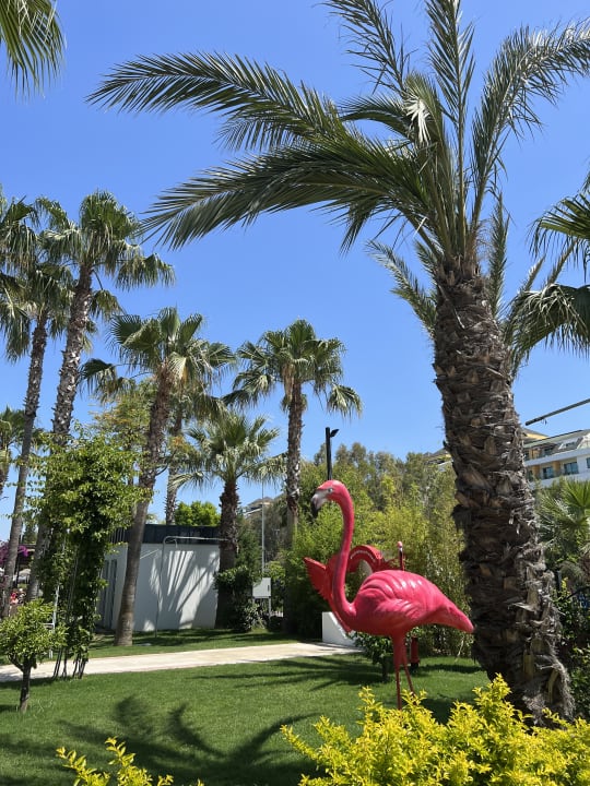 Gartenanlage Belek Beach Resort Hotel