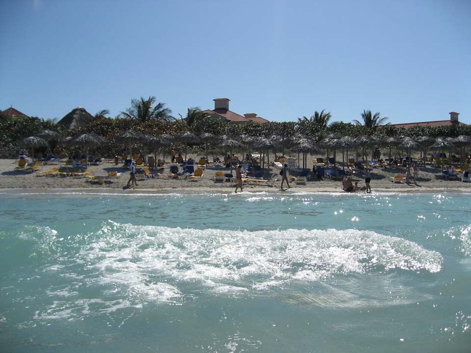 Hotelstrand  Iberostar Origin Playa Alameda