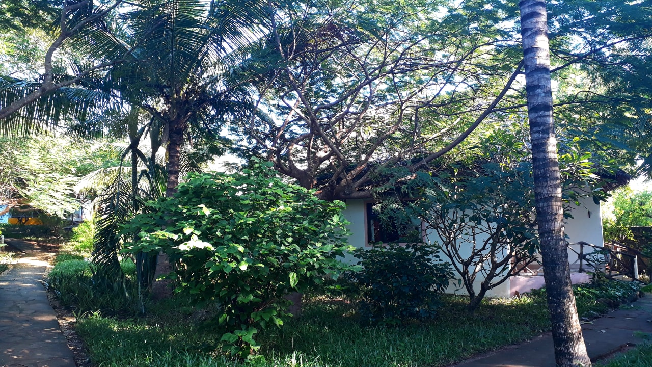 Gartenanlage Spice Island Hotel & Resort