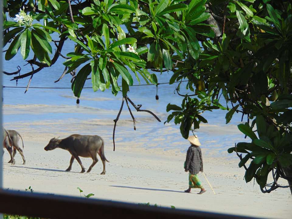 Strand Amber Lombok Beach Resort