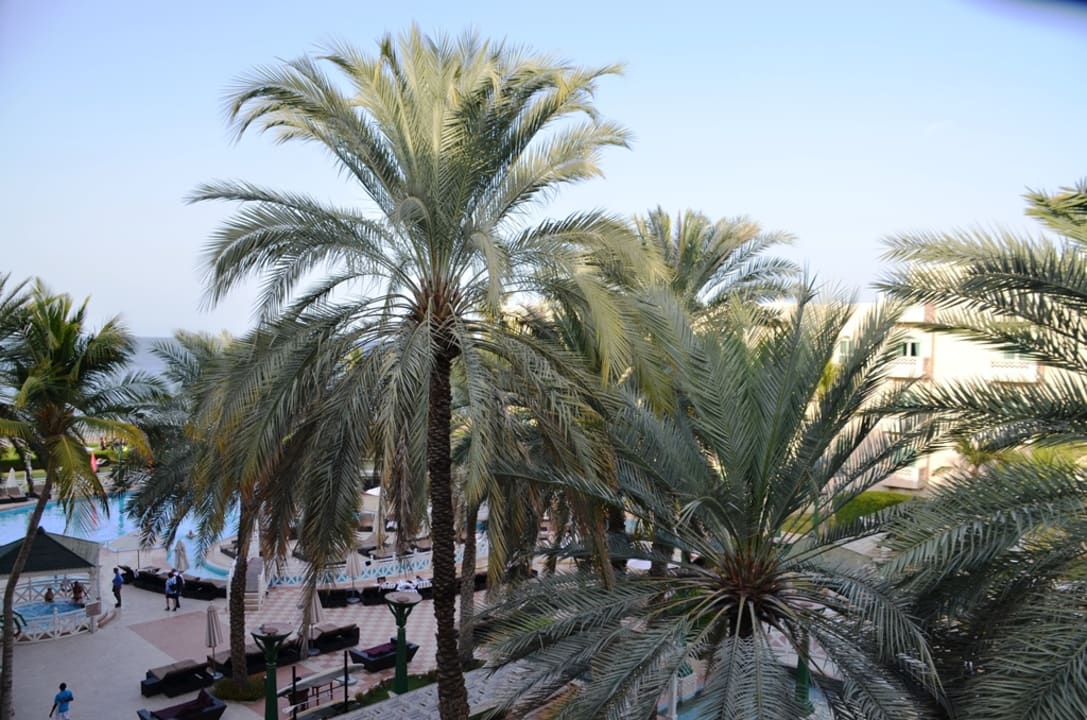 Ausblick Grand Hyatt Muscat