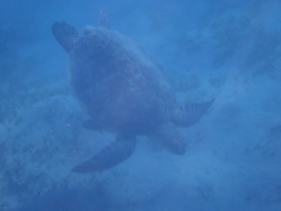 Sport & Freizeit Jaz Dar EL Madina