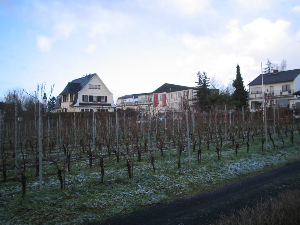 Blick vom Weinberg Jesuitengarten Nägler´s Fine Lounge Hotel