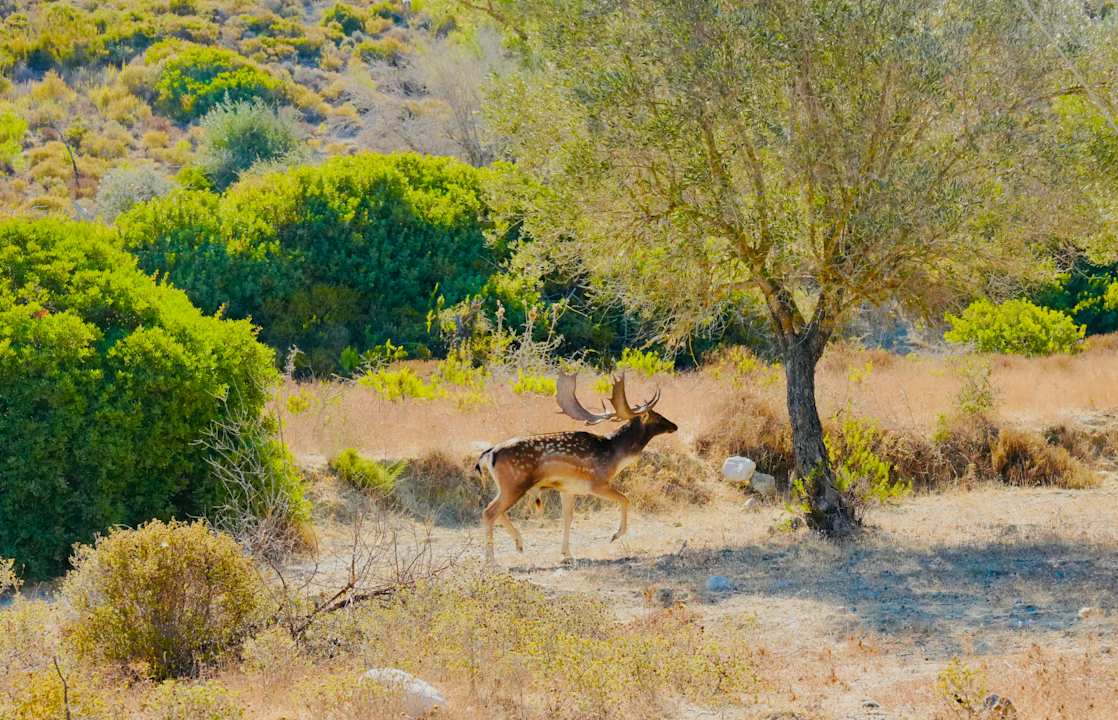 Sonstiges Ekaterini Hotel