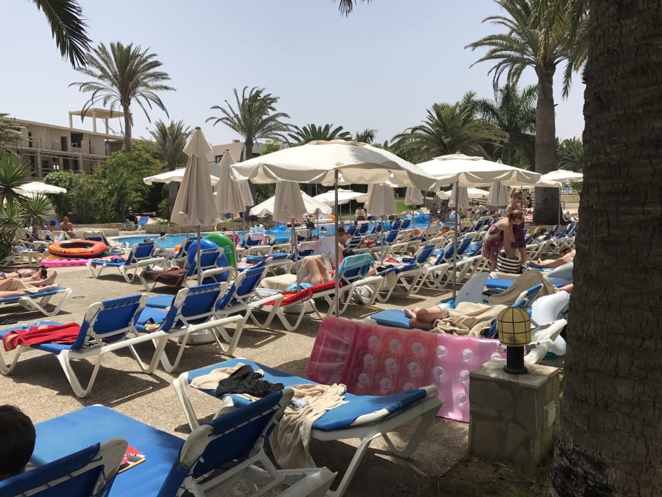 Pool Alua Suites Fuerteventura