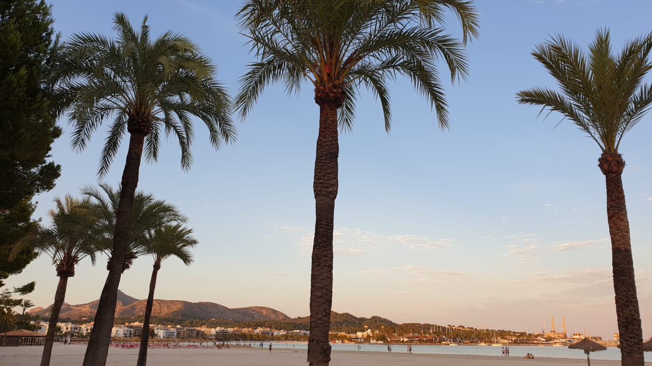 Strand Bahía de Alcúdia Hotel & Spa