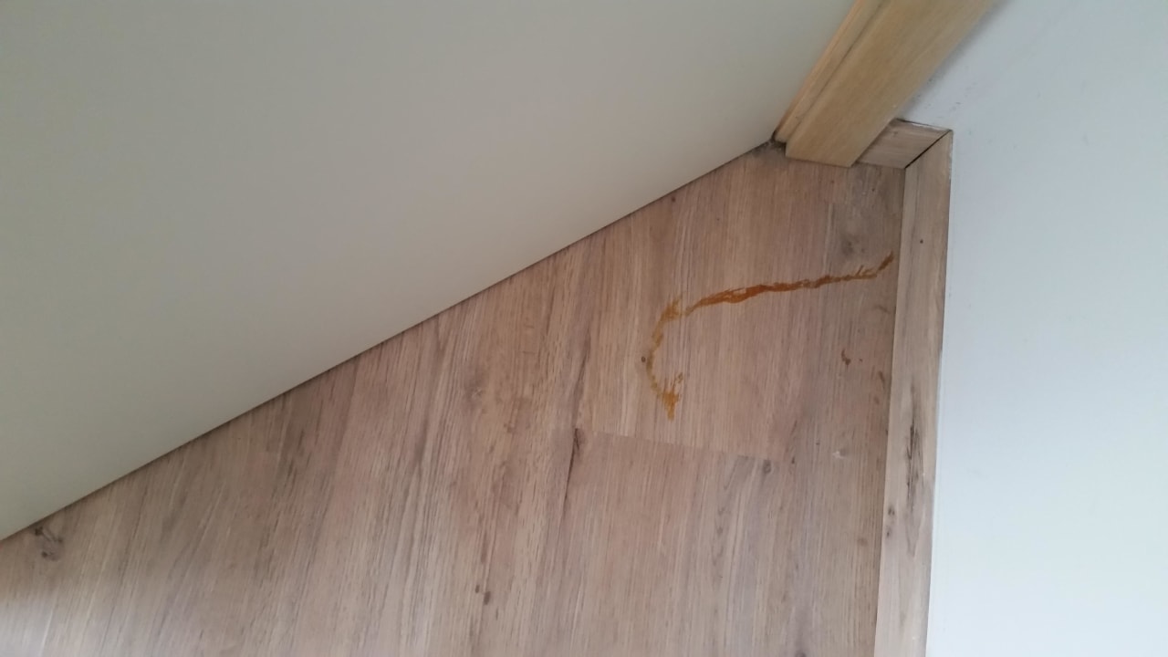 Coś tu straciło życie Wyndham Grand Novi Vinodolski Resort - The View & Family Apartments