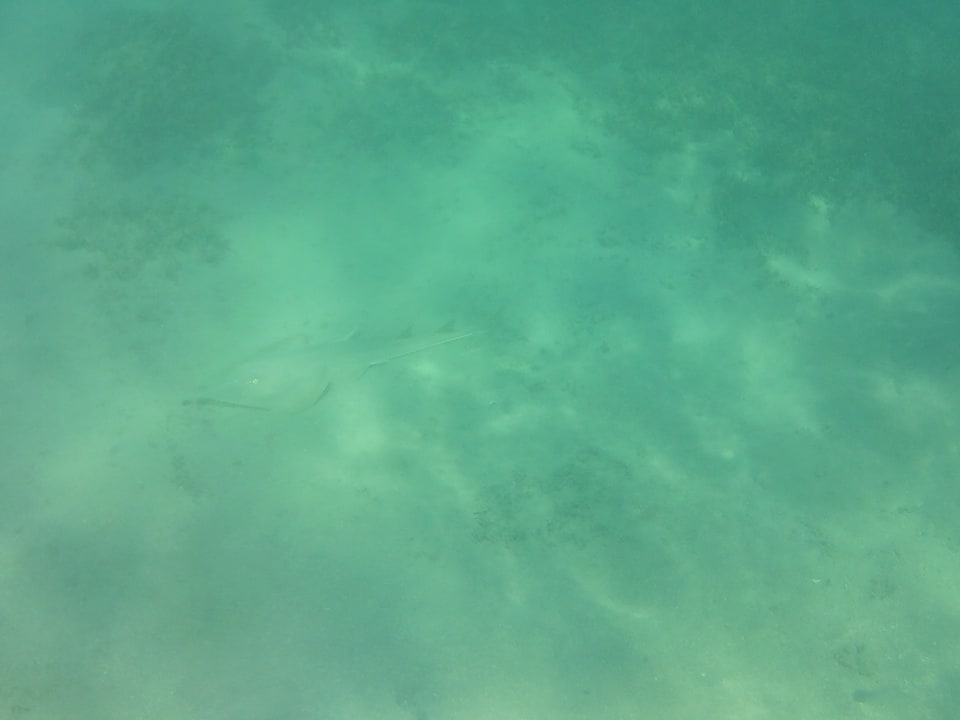 Strand Jaz Makadi Oasis Resort