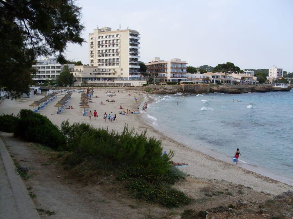1. Strand der ca. 800 m entfernt ist -  Son Moll Grupotel Aguait Resort & Spa - Adults only