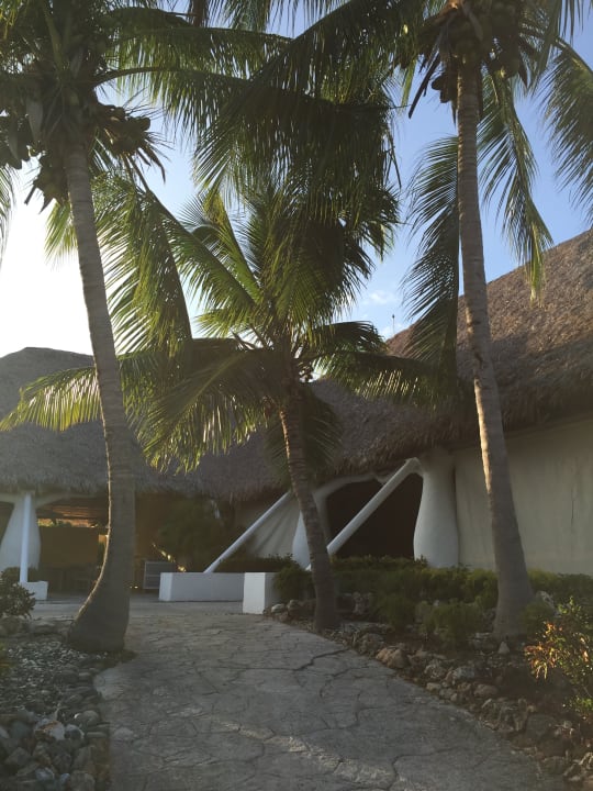 Gartenanlage Paradisus Rio de Oro Resort & Spa - Adults only