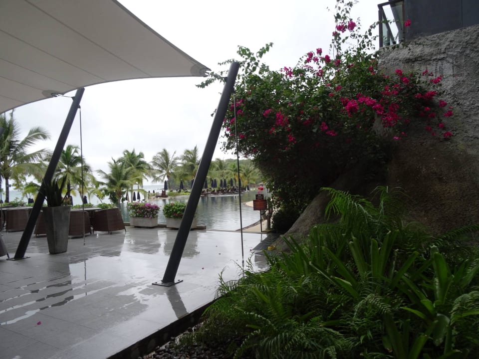 Garten Beyond Krabi