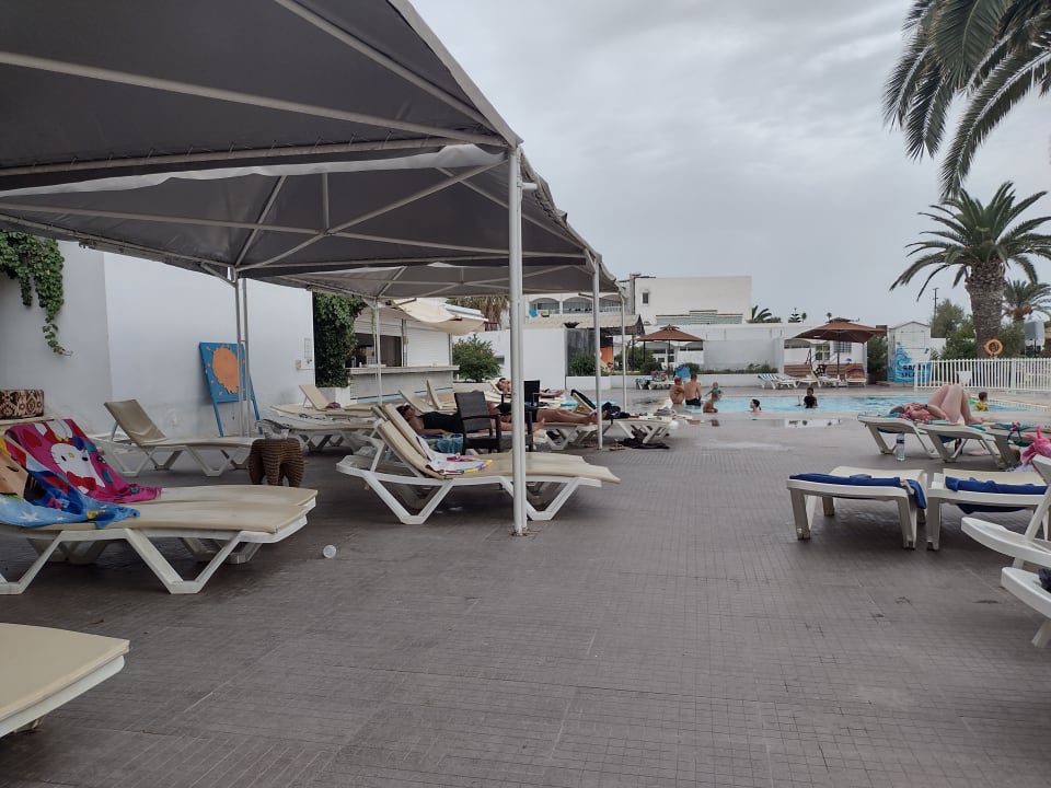 Pool AQI Venus Beach