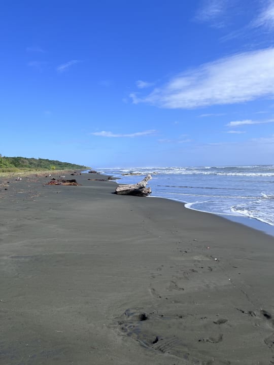 Strand Casa Caribe Sur - Karibik & Style