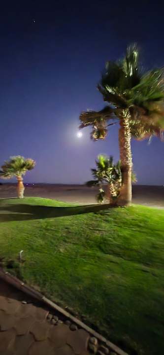 Gartenanlage Three Corners Sea Beach Resort