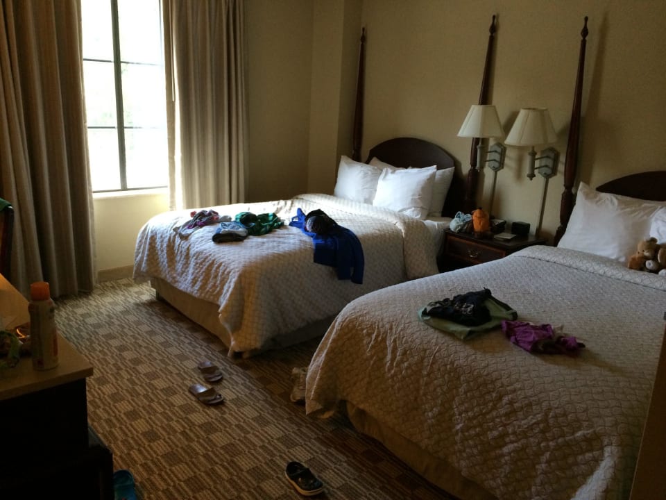 Standard Suite 3 Stock Hotel Embassy Suites Orlando Downtown