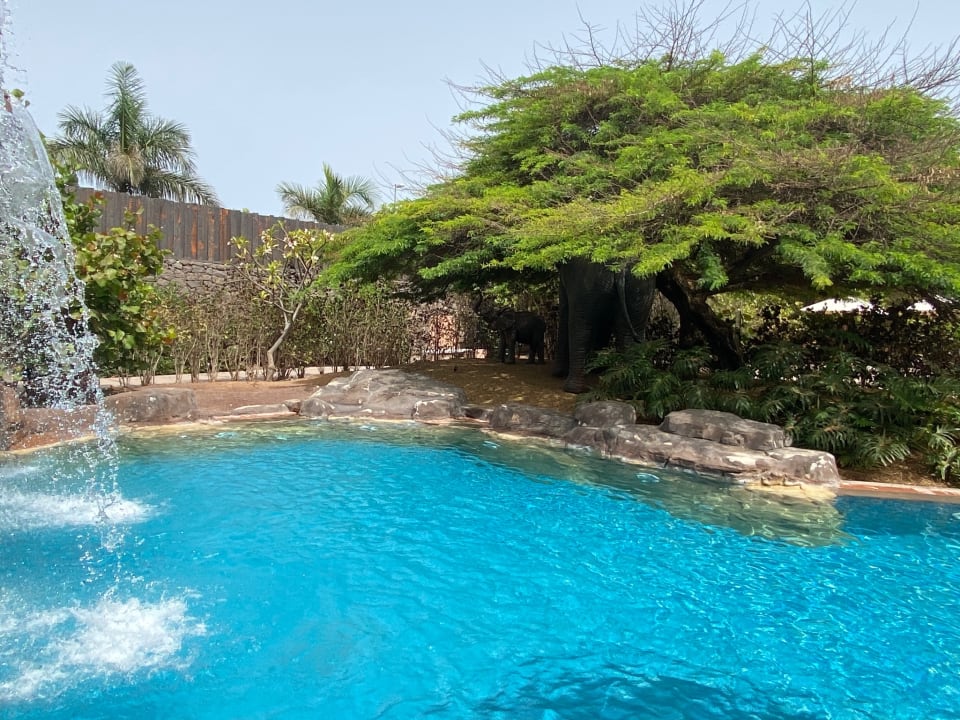 Pool Lopesan Baobab Resort