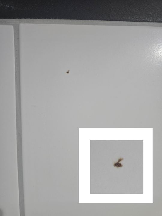 Zimmer Hotel Wolters