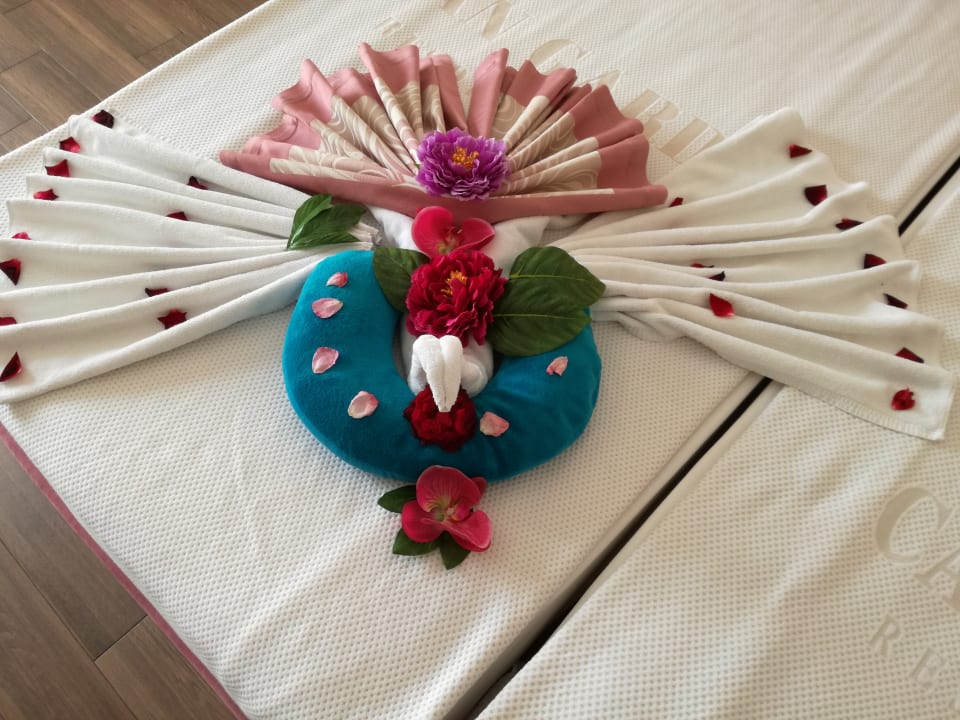 Zimmer Can Garden Resort