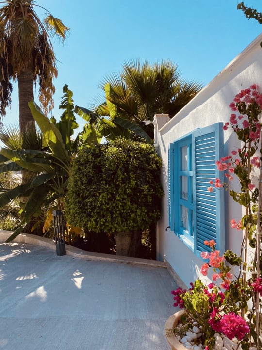 Gartenanlage TUI MAGIC LIFE Bodrum - Adult Only (16+)