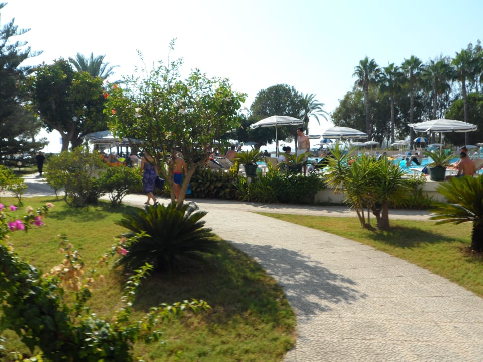 Areál hotela Top Hotel