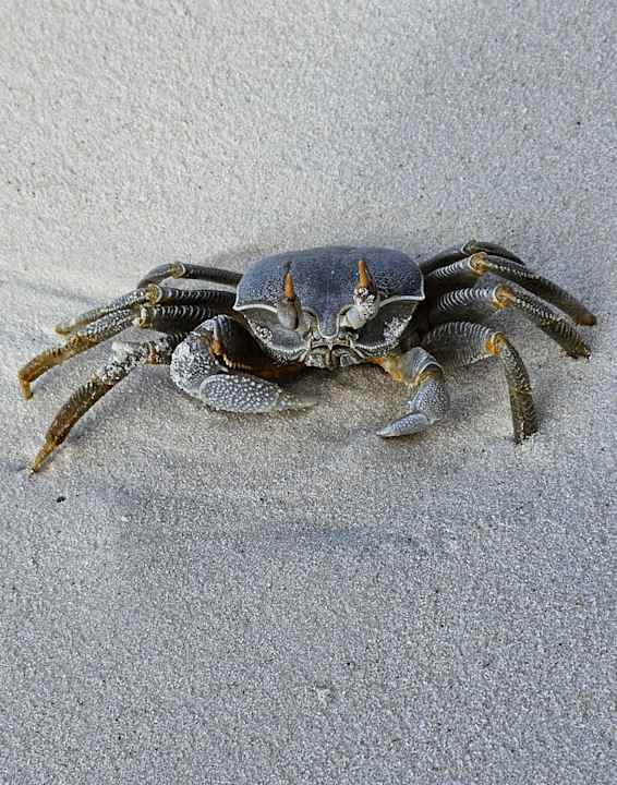 Strand Adaaran Select Meedhupparu Island Resort - Premium All Inclusive