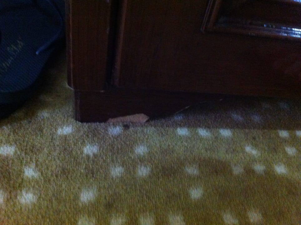 Abgesplitterte Holzmöbel Armas Gül Beach