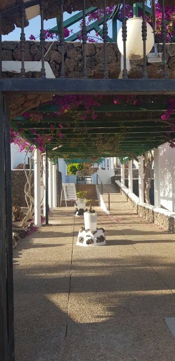 Sonstiges Apartamentos Guacimeta