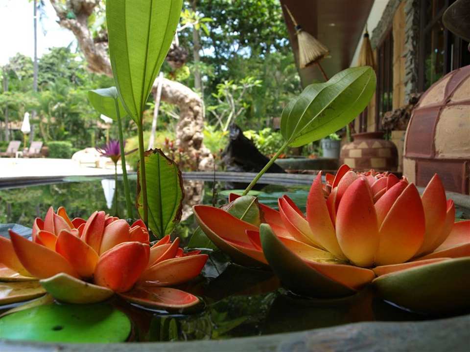 Lotosblüten Hotel Lanta Sand Resort & Spa