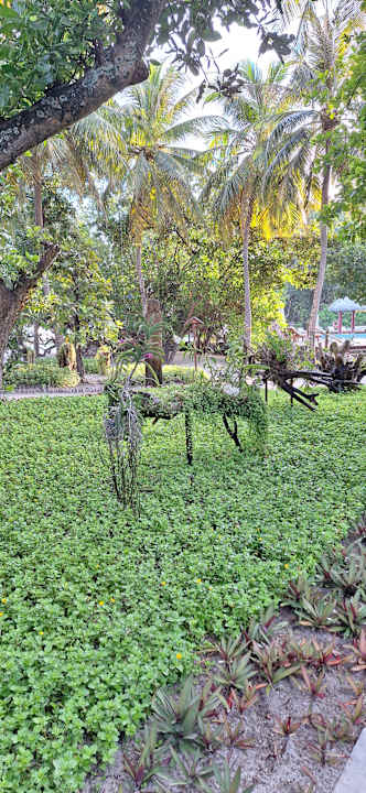 Gartenanlage Adaaran Select Meedhupparu Island Resort - Premium All Inclusive
