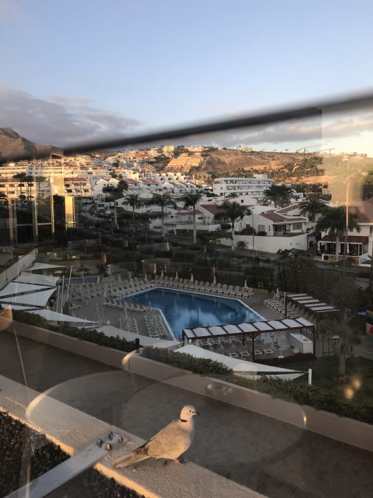 Pool Iberostar Waves Bouganville Playa