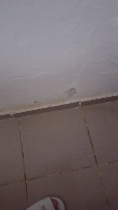 Zimmerwand Bitez Garden Life