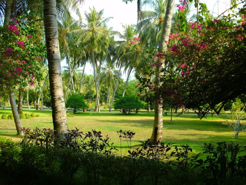 Gepflegte Gartenanlage Villa Park Sun Island