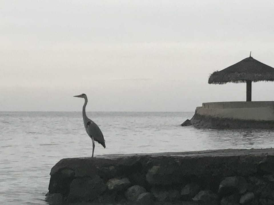 Strand Adaaran Select Hudhuran Fushi - Premium All Inclusive