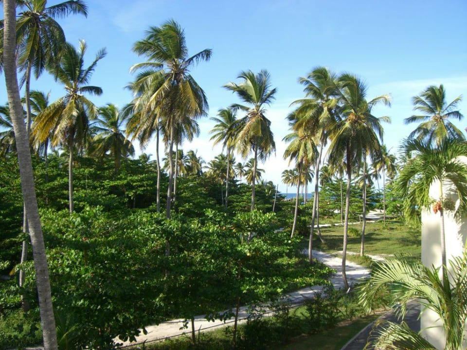 Ausblick von unserem Balkon Ocean Blue & Sand