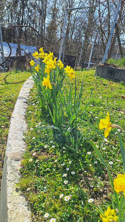 Gartenanlage Ferienhaus Ulrichsbrunn