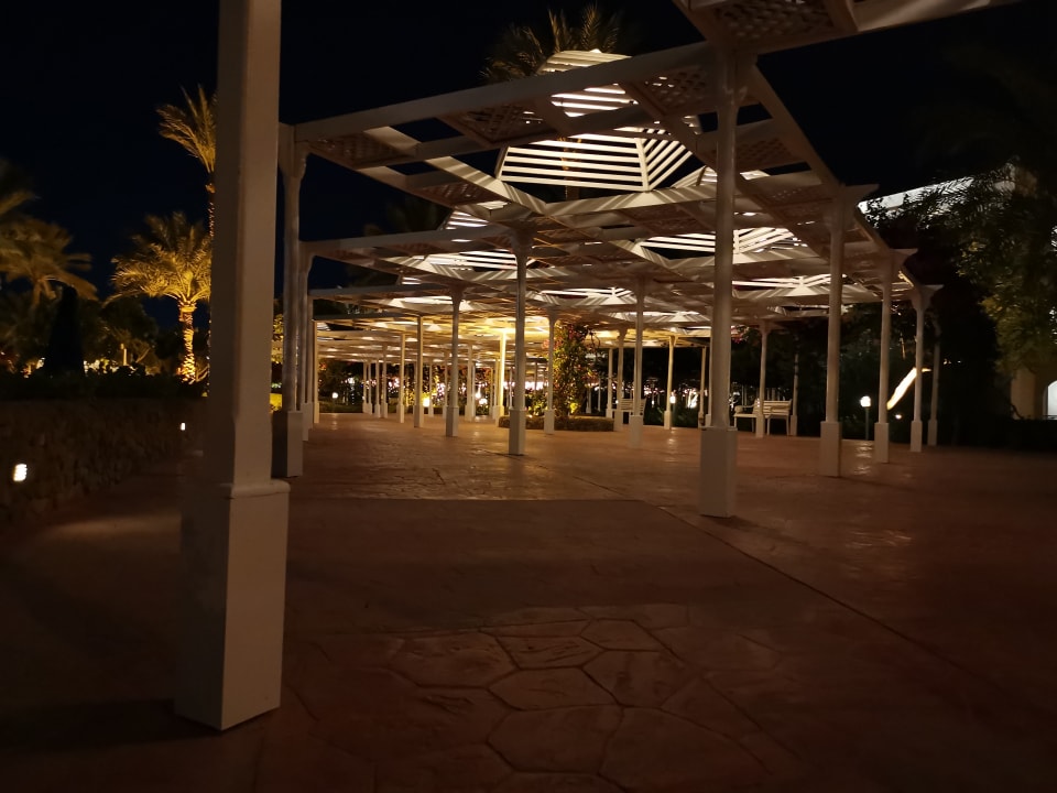 Sonstiges Desert Rose