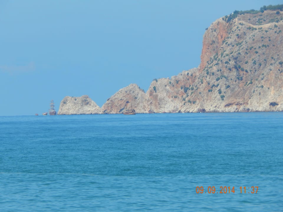 Крокодил Diamond Hill Resort Hotel